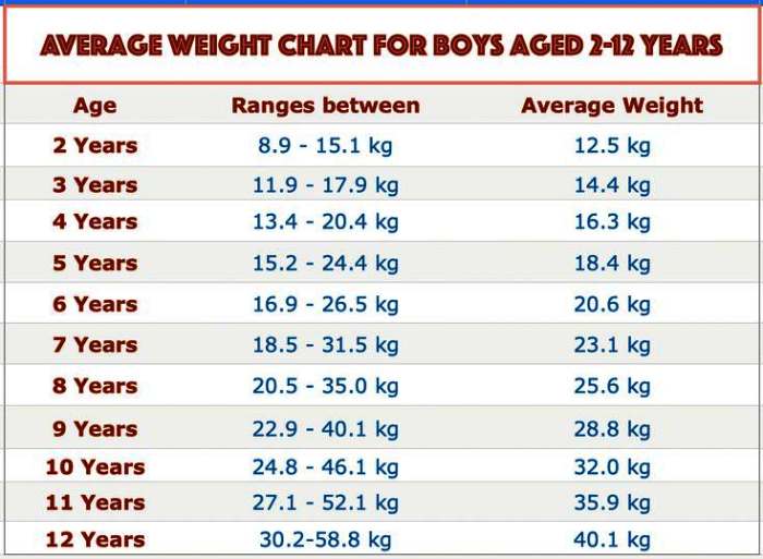 What Is The Average Weight For An 11 Year Old Boy 