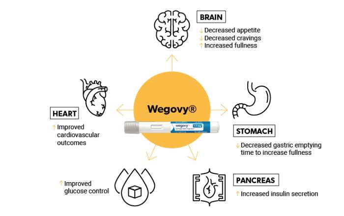 Wegovy Weight Loss: How Long Does It Take to See Results