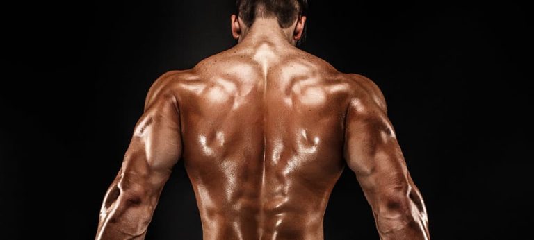 15 Best Back Exercises for Men - Ninja Quest Fitness